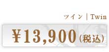 ツイン 13,900円